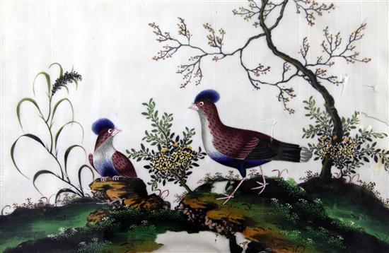 A set of five Chinese pith paintings of birds, c.1900, 20 x 32cm, later mounted and framed